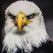 Judy Vest's photo