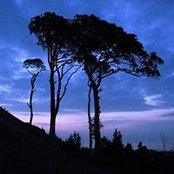 Sylvia Beaumont's photo