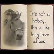 Lori Prater's photo