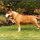 anne_fontaine69