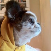 Akiko Kwong's photo