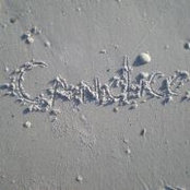 Candice Lee's photo