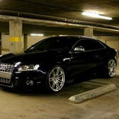 Nico Toro's photo