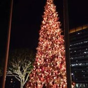 Natalie Hilbert's photo