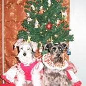 Doris Blasi's photo