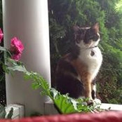 Judy Clark Walter's photo