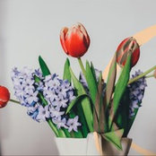 karina burke's photo
