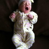 Andrew Wheeler's photo