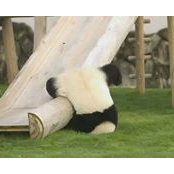 Jonathan Liu's photo