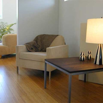 Modern Show House