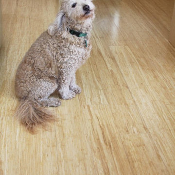 Kitchen Remodel with Bamboo Flooring