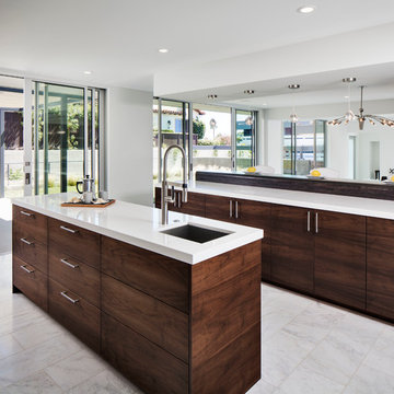 Contemporary Build Solana Beach