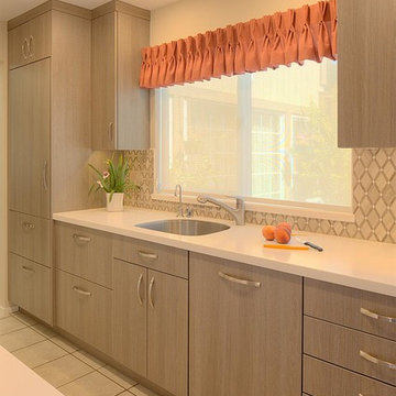 Modern Galley Kitchen in Alameda