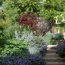 Pierce Street Garden