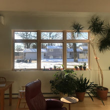blinds