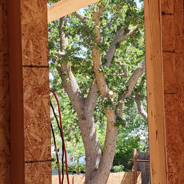 Redwood City Addition + ADU