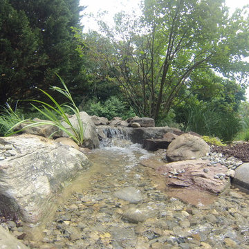 Pond Renovation