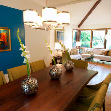 Modern, Organic Living & Dining
