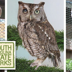Gryphon Den Wildlife Refuge - Products
