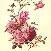 منى الميدان's photo