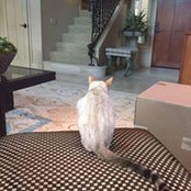 jana turner's photo