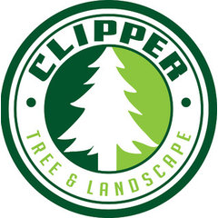 Clipper Tree & Landscape