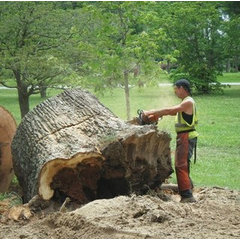 Evergreen Tree Service
