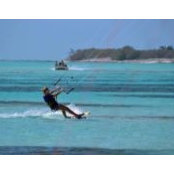 Erin Brady's photo