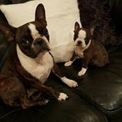 Katrina ONeill's photo
