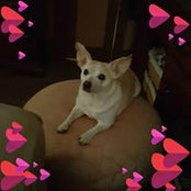 Foto von Nellie Laboy