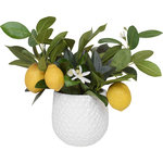 Uttermost - Positano Lemon Accent - A refreshing bunch of budding lemon stems is accented by a bed of naturally preserved moss, placed in a contemporary dimpled white ceramic pot. Container is 4.5" W x 4.5" H x 4.5" D.