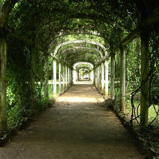 Schattiger Eklektischer Garten hinter dem Haus in Phoenix