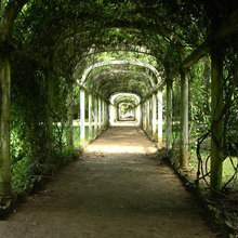 Tunnel w/Crawling Plants