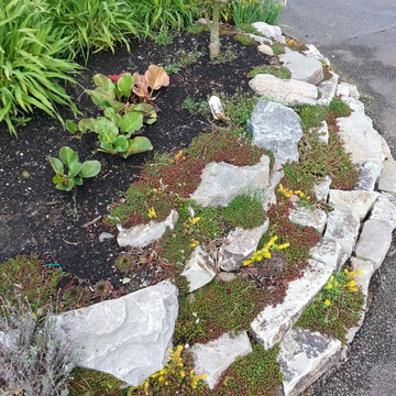 MicroScapeR(sm) Landscape MakeOver Projects