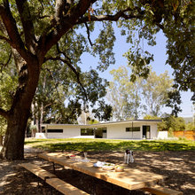 Picnic Tables