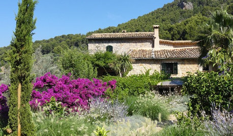 Pregunta al experto: Cómo diseñar un jardín de bajo mantenimiento