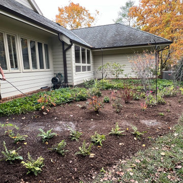 Native Plant Transformation of a HOA restricted landscape