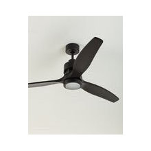 Fans
