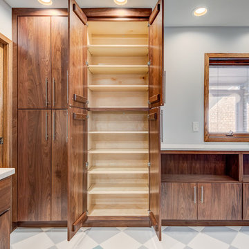 Modern Transitional Champaign