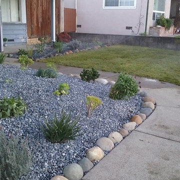 New Front Yard. Grass, Planting and Pebbles in San Pablo CA
