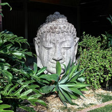Backyard Landscaping