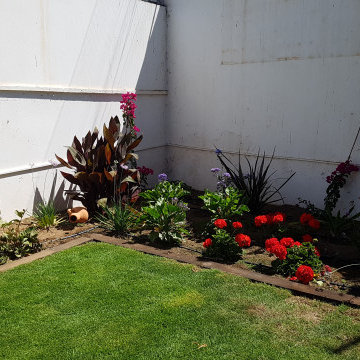 Restauración y plantación