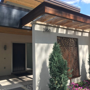 Natural Modern in Vail