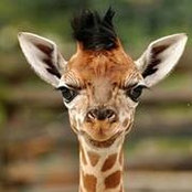 Jeanette Knepp's photo