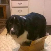 Helen McMillin's photo