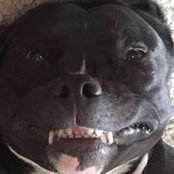 Geoff Hinnefeld Sr.s foto