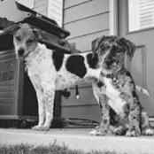 justin wagner's photo