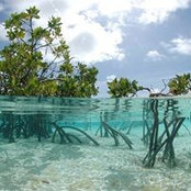 Foto von Abdulla Farish