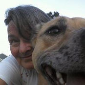 Julie MacDonald's photo