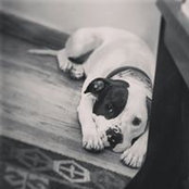 Ceej Sharp's photo